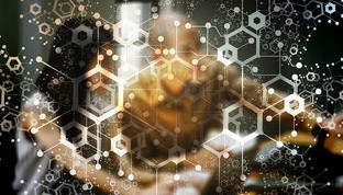 九游下载电脑版-中国篮球职业俱乐部财务风险管理机制及控制，篮球俱乐部企业组织结构图